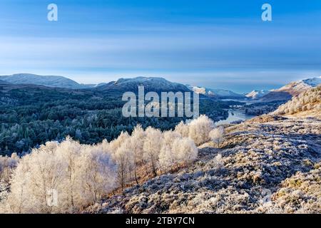 Glen Affric Cannich Scotland in winter with snow on the hills and frost on the Birch and Caledonian pine trees Stock Photo