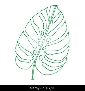 Monstera outline tropical leaves, greenery design element Monstera leaves, jungle plant. Line art monstera leaf for coloring book, logo or scrapbook d Stock Vector