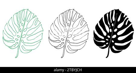 Monstera line and silhouette set of tropical leaves, greenery design element Monstera leaf, jungle plant. Leaf for coloring book, logo or scrapbook. V Stock Vector