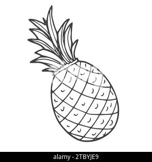 Outline black and white image of a pineapple. Stock Vector