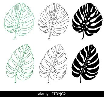 Monstera line and silhouette set of tropical leaves, greenery design element Monstera leaf, jungle plant. Leaf for coloring book, logo or scrapbook. V Stock Vector