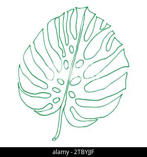 Monstera outline tropical leaves, greenery design element Monstera leaves, jungle plant. Line art monstera leaf for coloring book, logo or scrapbook d Stock Vector