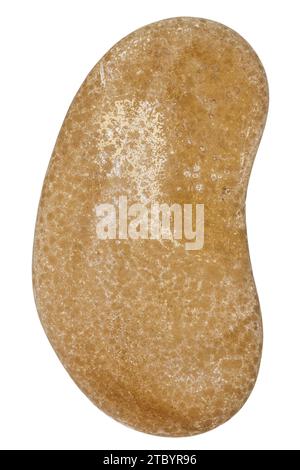 Top view of single beige pebble isolated on white background. Stock Photo