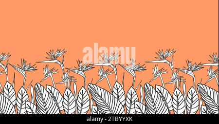 Bird of paradise flower, line art tropical strelitzia floral seamless pattern boarder black and white and orange color. Vector background for prints, Stock Vector