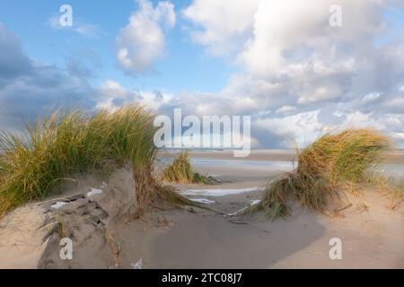 View on vast beach and sea between two dunes grown with Marram grass Stock Photo