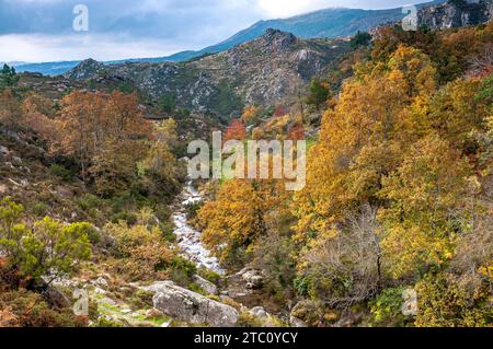 A stream flows through a small valley at Alvão Natural Park, during Autumn, Portugal Stock Photo