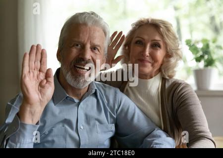 Screen portrait of smiling mature spouses communicate online say hi Stock Photo