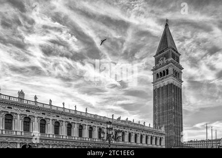 A bird flies over Piazza San Marco, the historic center of Venice, Italy, against a beautiful sky, in black and white Stock Photo
