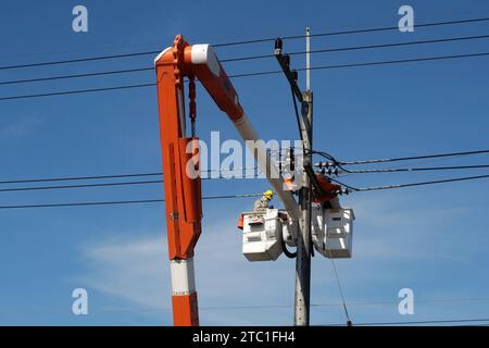 CHIANG MAI, THAILAND November 14, 2023 : Electricity worker repairs High voltage electrical wires. Stock Photo