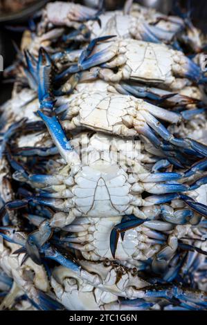 Crabs at a stand at a seafood market in Jeddah, Saudi Arabia. Stock Photo