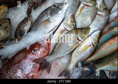 Fish Market In Jeddah, Saudi Arabia Stock Photo - Alamy