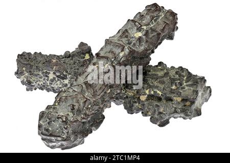 prophecy stones from the White Desert, Egypt isolated on white background Stock Photo