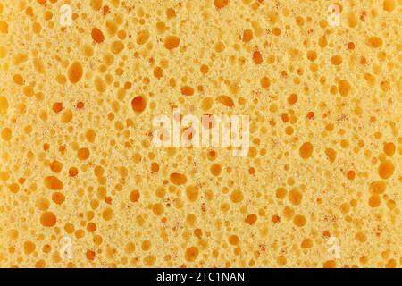 household sponge for background use Stock Photo