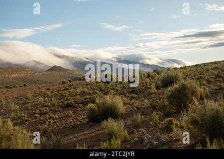 On the farm Sandrivier called Seweweeks Poort accomodation. Karoo area in Western Cape South Africa, April 2023 Stock Photo