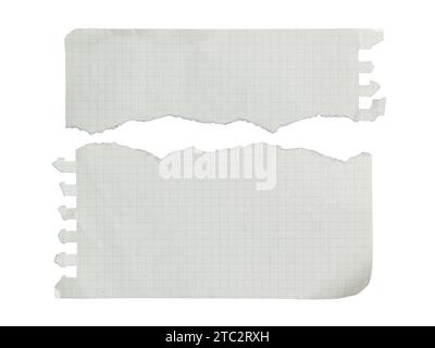 Torn ring notebook paper on white background with clipping path Stock Photo
