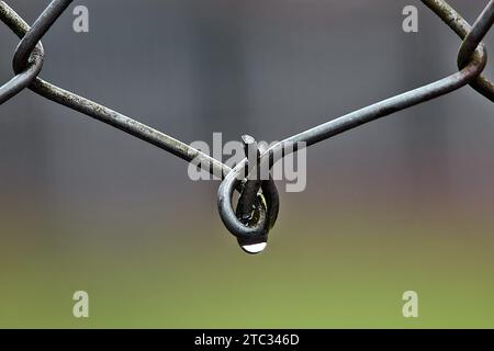 A metal chain is connected to a wire fence on a green background Stock Photo