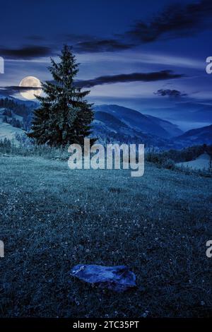 lonely fir tree and stone on the grassy hill. mountainous carpathian landscape at night. beautiful countryside scenery with fog in the distant valley Stock Photo