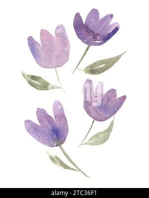 Watercolor floral set. Delicate purple floral arrangement with flowers and green leaves. Isolated hand painted design. Botanical illustration Stock Photo