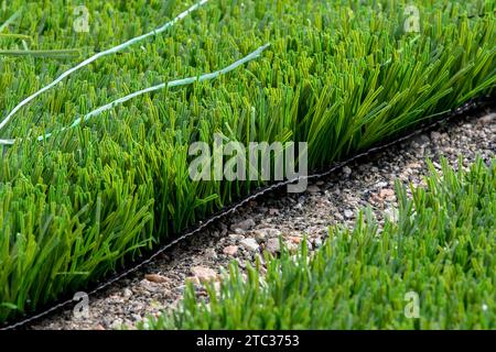 Closeup installation of football field with artificial turf with grass. Close up of line of an artificial football field. Details of artificial grass Stock Photo