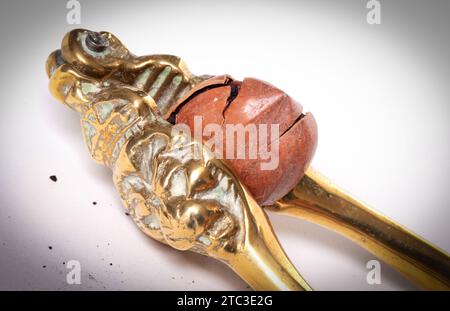 Large nut with vintage nutcracker, isolated on white Stock Photo