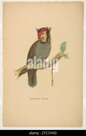 Humanoid Bird Races Gallows Bird, from The Comic Natural History of the Human Race, Henry ...