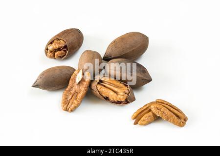 Assortment of peeled and shelled Pecan nuts on white background Stock Photo