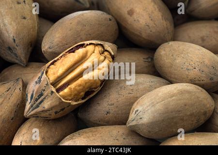 Peeled pecan nut among shelled Pecan nuts Stock Photo