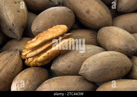 Peeled pecan nut among shelled Pecan nuts Stock Photo