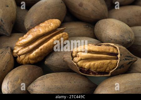 Peeled pecan nuts among shelled Pecan nuts Stock Photo