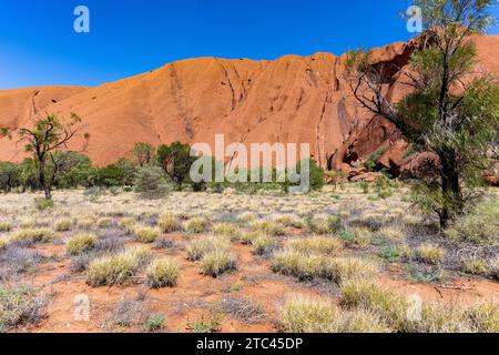 Uluru is sacred to the Pitjantjatjara, the Aboriginal people of the area, known as the Aṉangu. The area around the formation is home to an abundance o Stock Photo