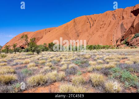 Uluru is sacred to the Pitjantjatjara, the Aboriginal people of the area, known as the Aṉangu. The area around the formation is home to an abundance o Stock Photo