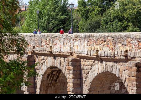 The medieval Roman bridge of Salamanca over the river Tormes with a view of the New Cathedral of Salamanca in the background Spain Stock Photo