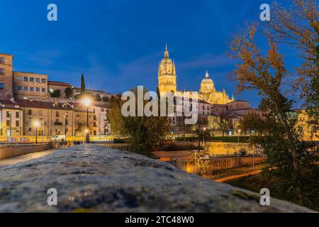 Salamanca Cathedral and Roman bridge on the banks of the Tormes River. Stock Photo