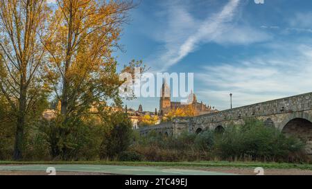 Salamanca Cathedral and Roman bridge on the banks of the Tormes River. Stock Photo