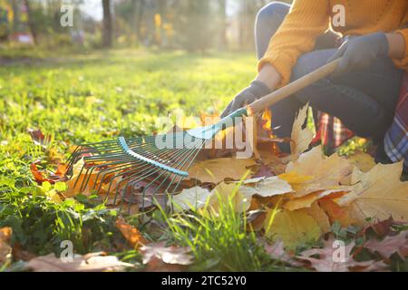Woman raking fall leaves in park, closeup Stock Photo