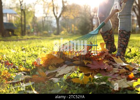 Woman raking fall leaves in park, closeup. Space for text Stock Photo