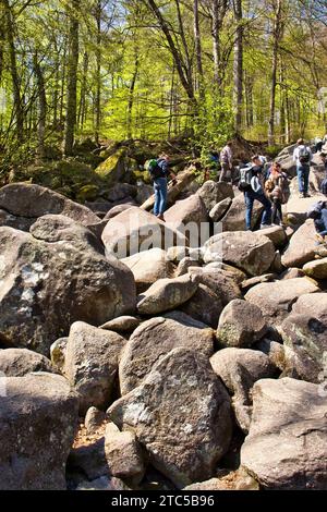 Lautertal, Germany - April 24, 2021:  Rocks covering hill in trees on a spring day at Felsenmeer in Germany. Stock Photo