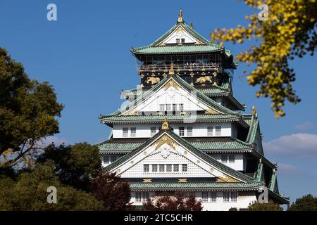 Street Photography of Osaka, Japan in autumn. Stock Photo