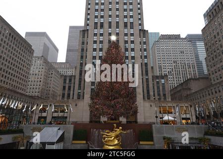 New York City, United States. 10th Dec, 2023. The Rockefeller Center Tree is standing tall in New York, New York, on December 10, 2023. (Photo by Gordon Donovan/NurPhoto) Credit: NurPhoto SRL/Alamy Live News Stock Photo