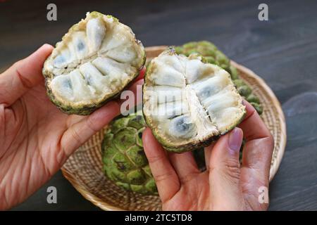 Delectable Split Sugar Apple Fruit or Annona Squamosa  in Hands Stock Photo