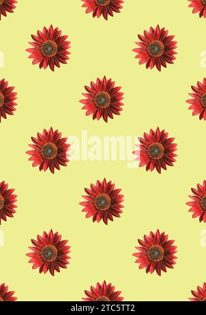 Seamless Pattern of Blossoming Red Sunflowers on Banana Yellow Backdrop Stock Photo