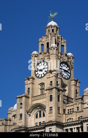 Corner Clock Tower & Liver Bird of the Royal Liver Building (1908-1911) by Walter Aubrey Thomas, on the Pier Head or Waterfront Liverpool England UK Stock Photo