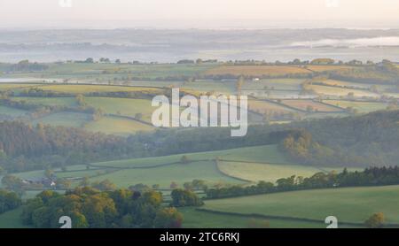 Rolling countryside at dawn, Devon, England.  Spring (May) 2023 Stock Photo