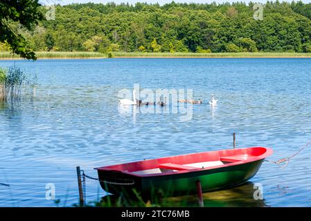 An idyllic picture of a lake with various birds on the water and a small rowing boat in the foreground. On the other shore you can see a very green fo Stock Photo