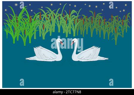 Two swans on the lake in the background cattail and the stars in the sky Stock Vector