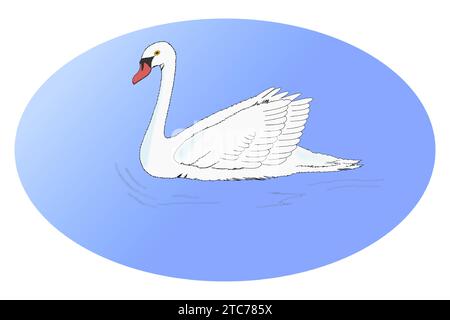 The white swan swims on the water with an elliptical background Stock Vector