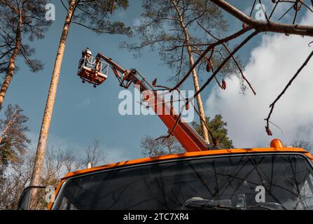 Arborist stands on the cradle of the lift. Removal and care of emergency trees. Stock Photo
