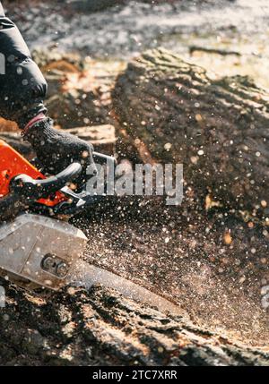 Woodcutter saws tree with chainsaw. Sawdust flies from chainsaw. Arborist saws a tree for firewood. Close-up Stock Photo
