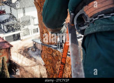 Arborist cuts the trunk of an emergency tree with chainsaw at a great height. Sawdust flies from chainsaw. Stock Photo