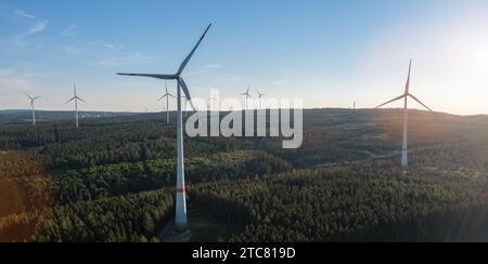 Aerial view of a dense forest with sunlit treetops and deep shadows in ...